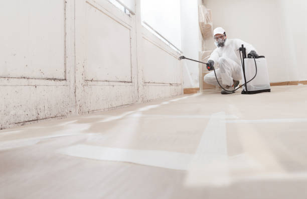 24/7 Emergency Black Mold Removal experts in Pennington, NJ
