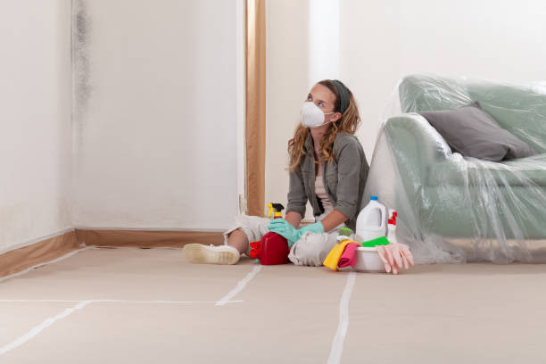Reliable Black Mold Removal contractor in Pennington, NJ by WQB Mold Removal
